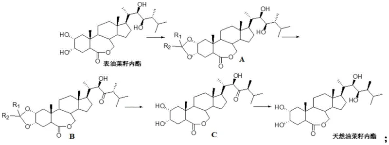 Novel semi-synthetic route converting epibrassinolide to natural brassinolide via methyl transposition