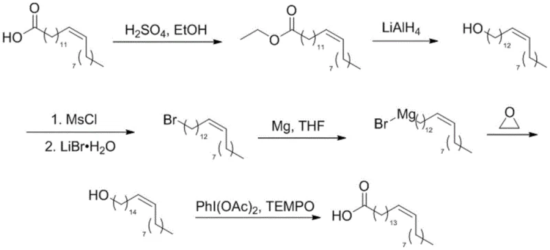 Complete synthesis route of nervonic acid from erucic acid showing esterification, reduction, bromination, Grignard reaction, and oxidation steps