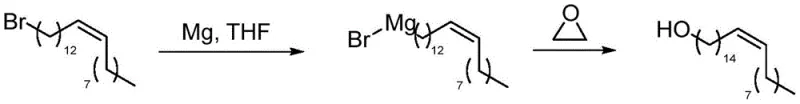 Grignard reagent formation and reaction with ethylene oxide to extend carbon chain