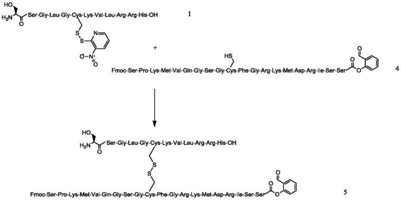 Disulfide bond exchange reaction between Intermediate 1 and Intermediate 4 forming Intermediate 5