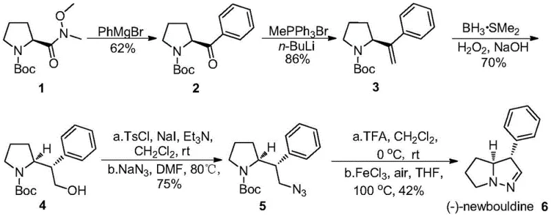 Novel 5-step synthetic route to (-)-newbouldine using FeCl3 catalysis