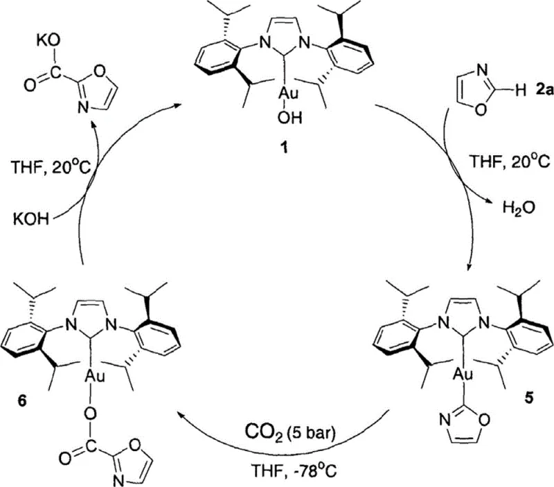 Catalytic cycle mechanism showing regeneration of gold hydroxide complex during carboxylation