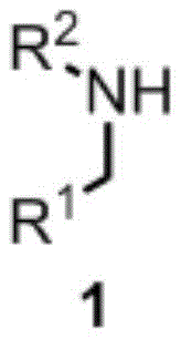 General reaction scheme for nickel-catalyzed synthesis of alkylamine derivatives from amine and olefin