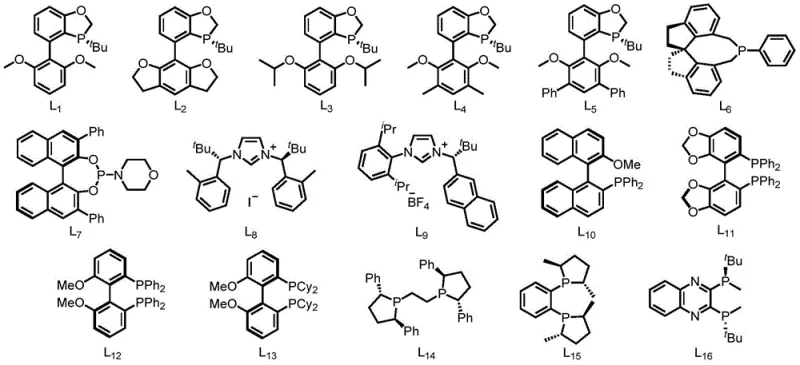 Structures of chiral monophosphine ligands L1 to L16 used for asymmetric synthesis