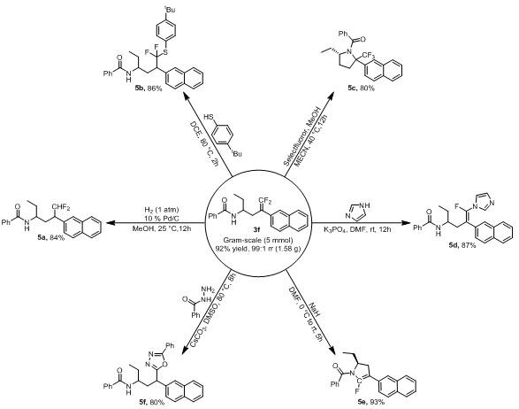 Derivatization and synthetic applications of gem-difluoroolefin platform compounds into diverse functionalized fluorinated molecules