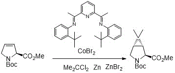 Cobalt-catalyzed cyclization mechanism showing transformation of N-Boc pyrrolidine derivative to bicyclic intermediate using CoBr2 catalyst system