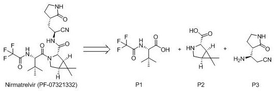 Retrosynthetic analysis of Nirmatrelvir showing the key pyrrolidone intermediate fragment P3