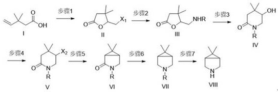 Complete synthetic route from 3,3-dimethyl-4-pentenoic acid to the target bicyclic amine showing all seven steps