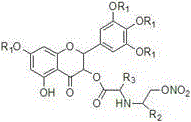 General chemical structure of nitrate-group-containing dihydromyricetin derivatives showing variable R groups