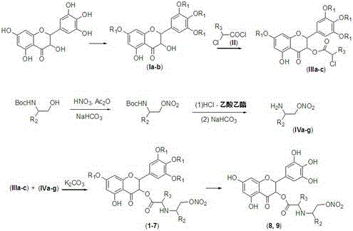 Synthetic route showing protection, acylation, nitration and coupling steps for dihydromyricetin derivatives