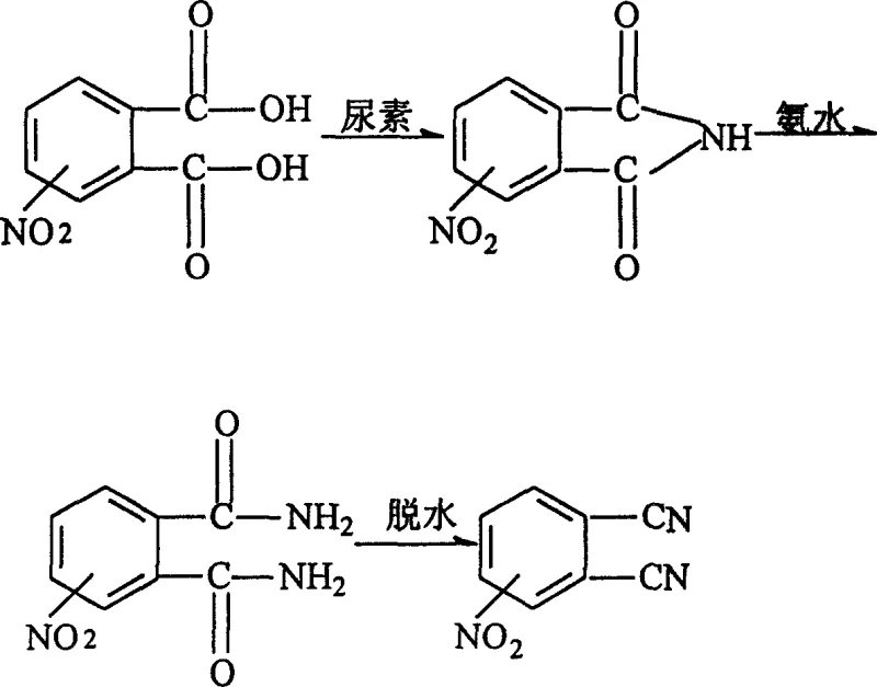 Reaction scheme showing the conversion of nitrophthalic acid to nitrophthalimide, then to nitrophthalamide, and finally to nitrophthalonitrile