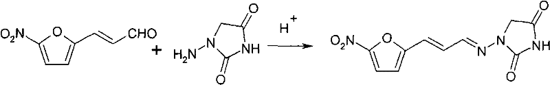 Traditional synthesis route showing the reaction between 5-nitrofuran acrolein and 1-aminohydantoin