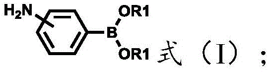 General reaction scheme showing the one-step Suzuki coupling between amino-phenylboronic acid and heterocyclic halide