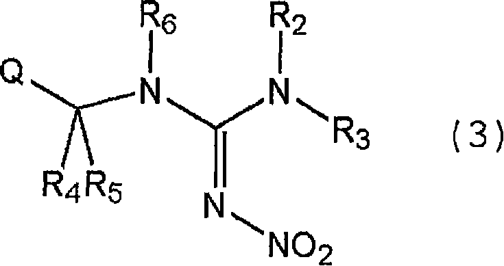 Chemical structure of Target Nitroguanidine derivative General Formula 3