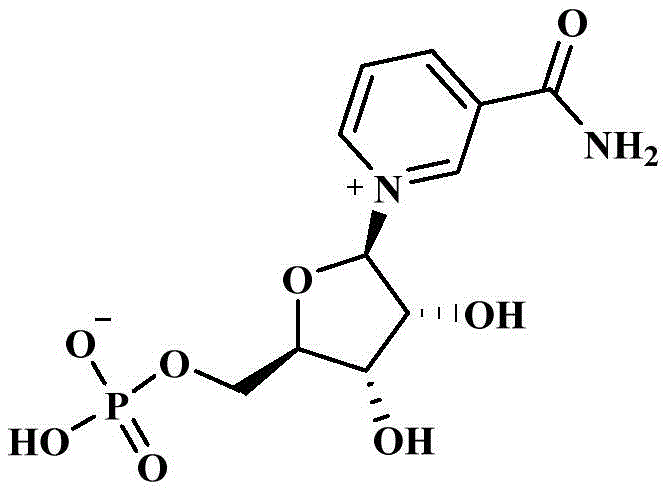 Chemical structure of β-nicotinamide mononucleotide showing the nicotinamide riboside monophosphate skeleton