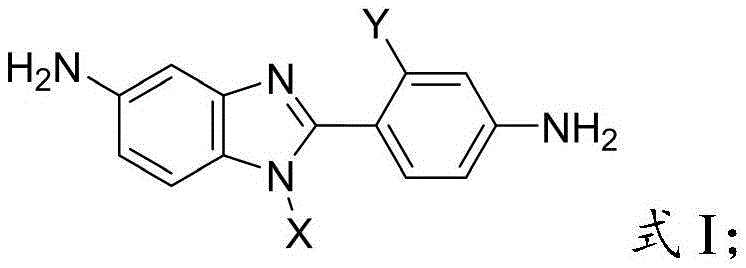 General chemical structure of Formula I showing the non-coplanar benzimidazole diamine core with variable substituents X and Y