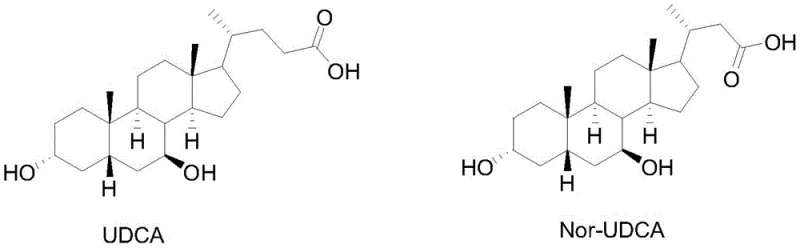 Structural comparison between UDCA and Nor-UDCA highlighting the side chain difference