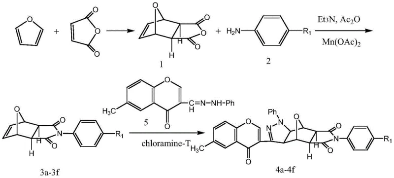 Complete reaction scheme showing the synthesis route from furan and maleic anhydride to the final pyrazole-chromone derivatives