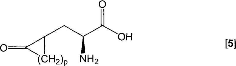 Chemical structure of the optically pure alpha-amino acid intermediate derived from hydantoin hydrolysis