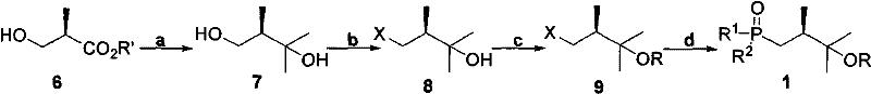 General synthetic route for phosphine oxide side chain intermediates