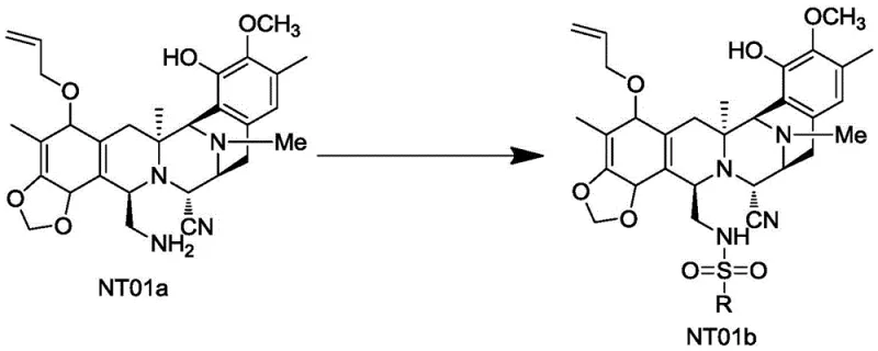 First step of novel synthesis showing sulfonyl protection of NT01a to NT01b