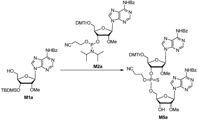Specific synthesis pathway for compound M5a showing coupling sulfuration and desilylation steps