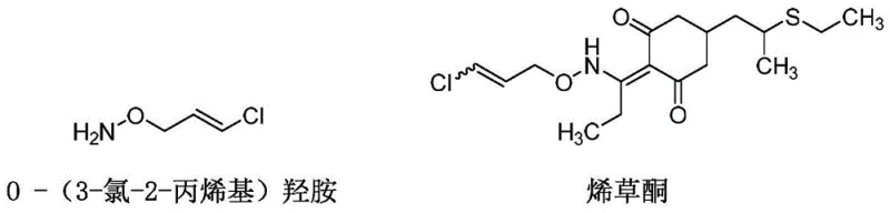 Chemical structure of O-(3-chloro-2-propenyl) hydroxylamine and its derivative Clethodim showing application context