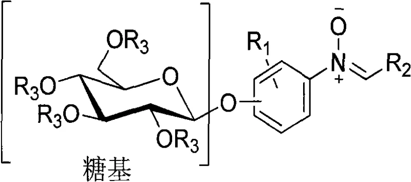 General chemical structure of O-glycoside nitrone compounds showing variable R groups for structural diversity