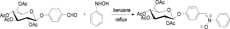Final condensation step forming the nitrone bond from O-benzaldehyde glycoside and N-phenylhydroxylamine