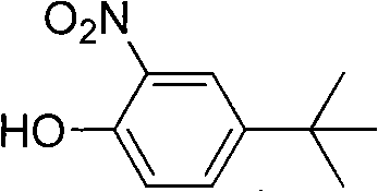 Chemical structure of o-nitro-p-tert-butylphenol showing the nitro and tert-butyl substituents on the phenol ring
