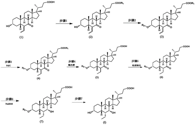 Novel synthesis route for Obeticholic Acid utilizing silane protection strategy