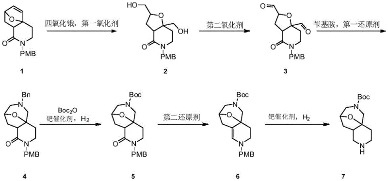 Complete six-step synthetic route for octahydro-4a,8-epoxypyrido azepine derivative showing oxidation, amination, and hydrogenation stages