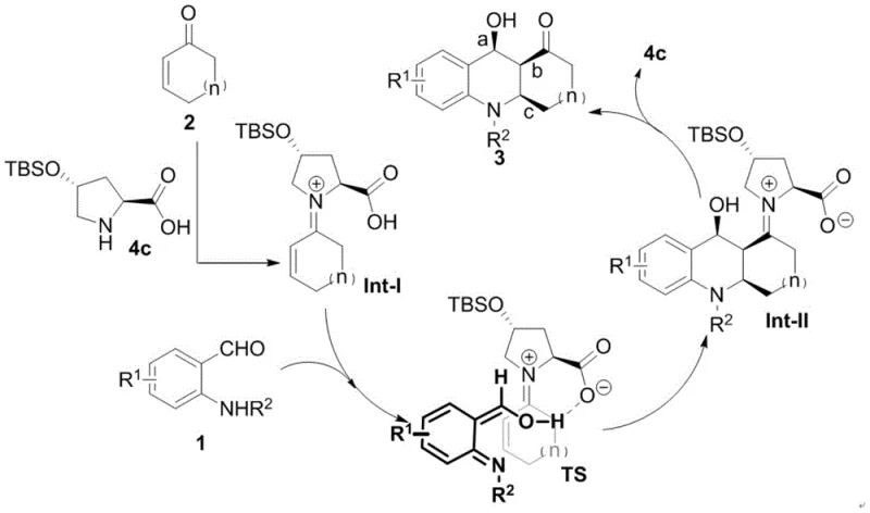 Detailed catalytic cycle mechanism showing iminium activation and transition state TS