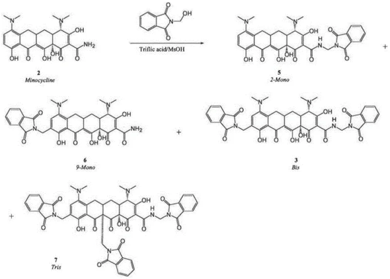 Chemical structures showing the formation of 2-Mono, 9-Mono, Bis, and Tris impurities from Minocycline