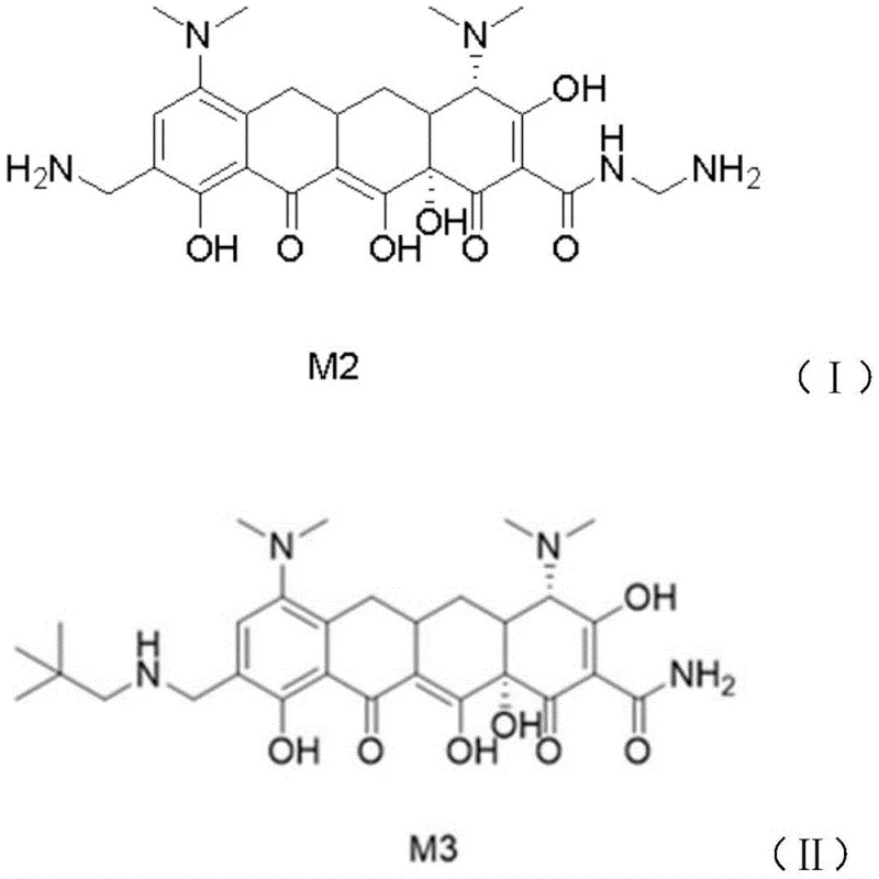 Chemical structures of Intermediate M2 and Product M3 highlighting the structural changes