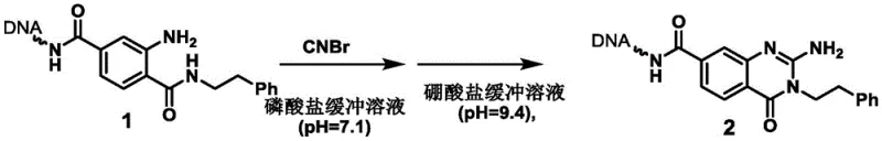 Specific synthesis route of On-DNA benzazepine Compound 1 to product