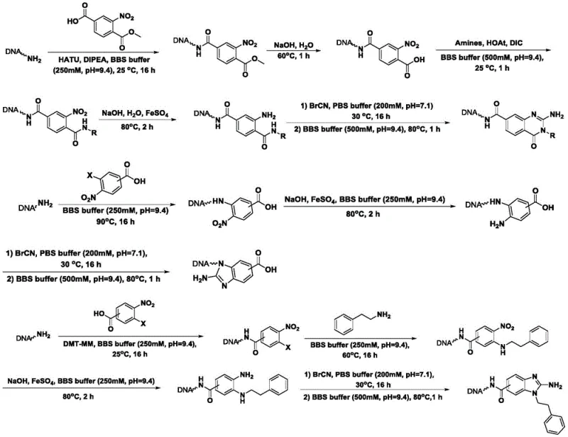 General reaction scheme for synthesizing 29 On-DNA nitrogen heterocyclic compounds using cyanogen bromide