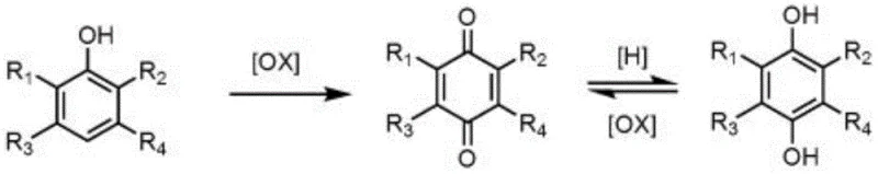General oxidation reaction of phenols to p-phthaloquinones showing substituent variations