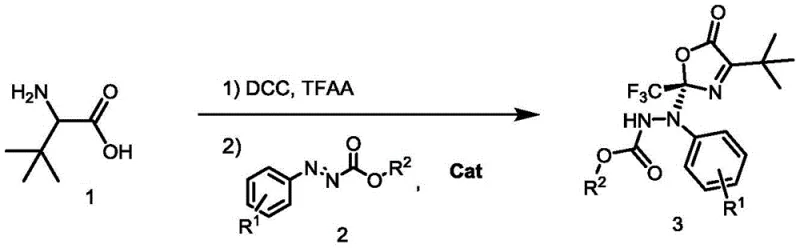 General reaction scheme for synthesizing optically active benzocarboxylate compounds from tert-leucine