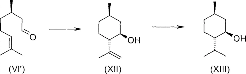 Downstream conversion pathway from optically active citronellal to menthol