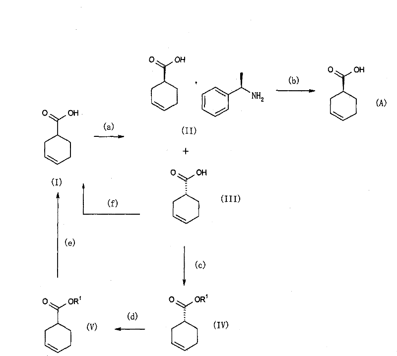 Comprehensive reaction scheme (Scheme 1) illustrating the resolution of racemic acid (I) into the chiral salt (II) and the recycling loop for the unwanted isomer (III).
