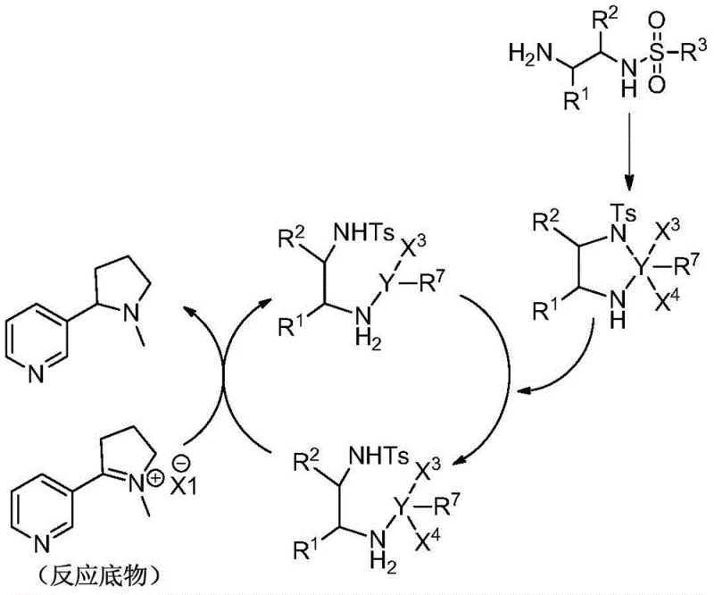 Catalytic cycle mechanism showing the interaction between chiral ligand, metal catalyst, and imine salt substrate during asymmetric reduction