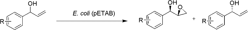 General reaction scheme for asymmetric epoxidation of substituted phenyl allyl alcohols