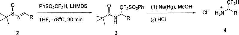 Core reaction scheme showing nucleophilic asymmetric difluoromethylation of sulfinyl imines to form chiral amines