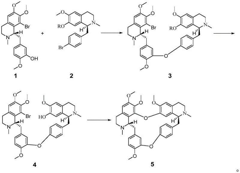 Convergent synthesis route of optically pure tetrandrine via Ullmann coupling steps
