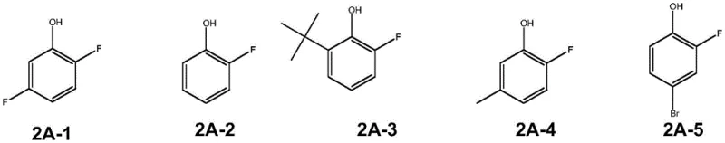 Substrate scope showing various fluorinated phenol derivatives synthesized via the patented method