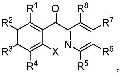 General structural formula of ortho-halogenated diaryl ketone compounds showing variable substituent positions