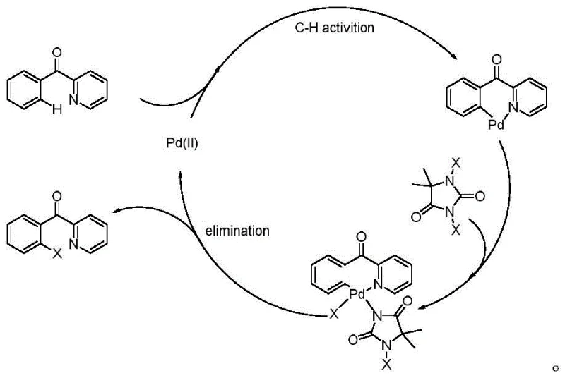 Catalytic cycle mechanism illustrating C-H activation and halogen elimination steps