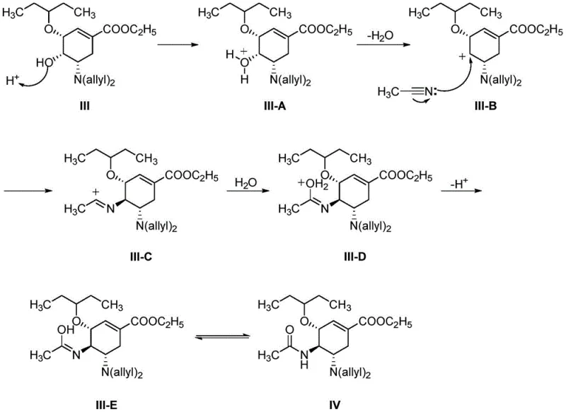 Detailed mechanistic pathway of the Ritter reaction showing carbocation formation and stereoselective acetonitrile attack