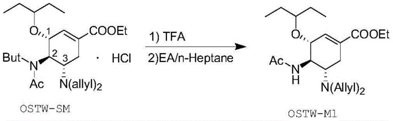 Reaction scheme showing the conversion of OSTW-SM to OSTW-M1 via tert-butyl removal